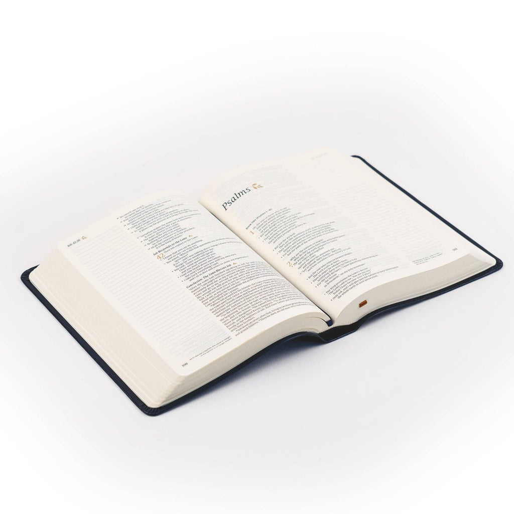 NLT Notetaking Bible: Versailles Theme