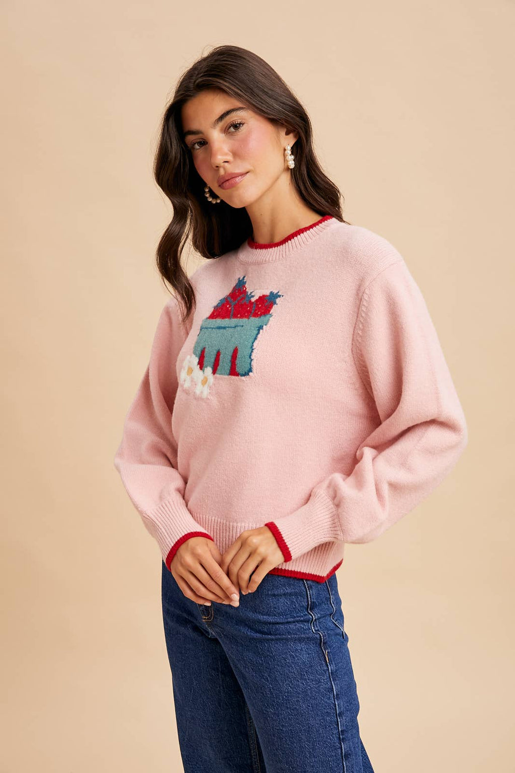 STRAWBERRY CARTON KNITTED PULLOVER